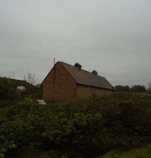 Dilapidated shed being worked on