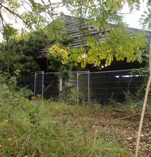 Dilapidated shed