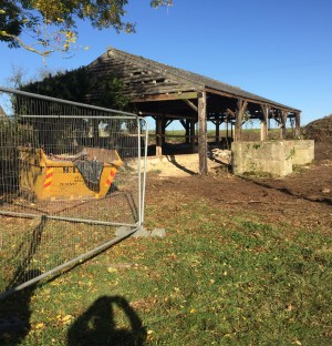 Dilapidated shed progress